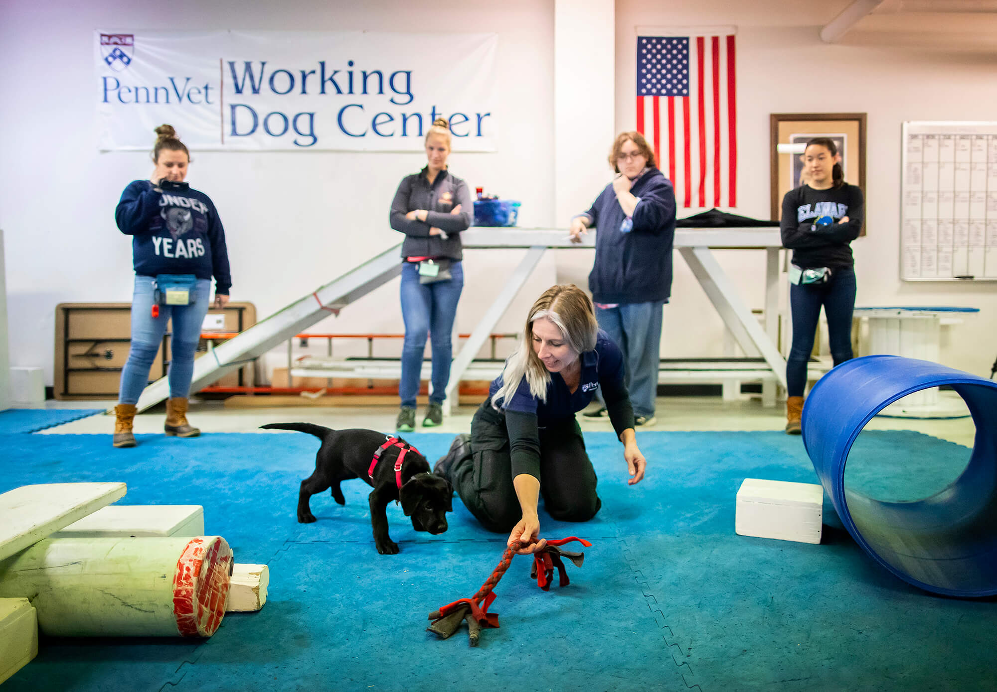 staff at penn vet working dog center training dogs.